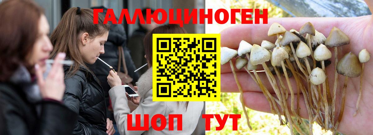 Ноябрьск  Галлюциногенные грибы Psilocybe  Вход с VPN 